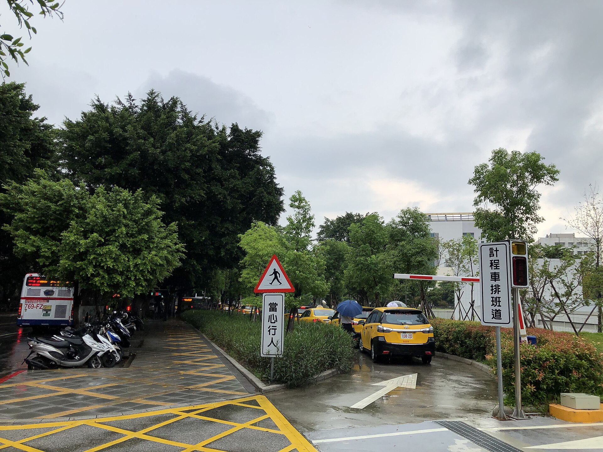 病院前のタクシー乗り場に並ぶ黄色いタクシー、雨の日の乗車待ち