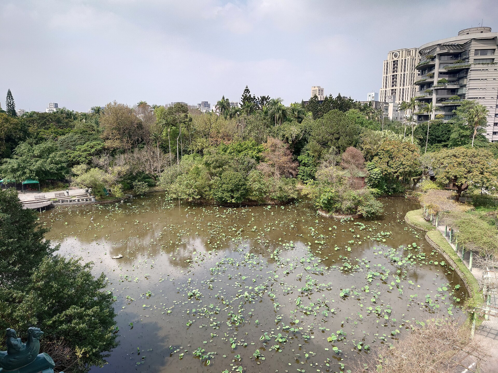 台北植物園の蓮花池、葉が広がる水面と緑に囲まれた散策路